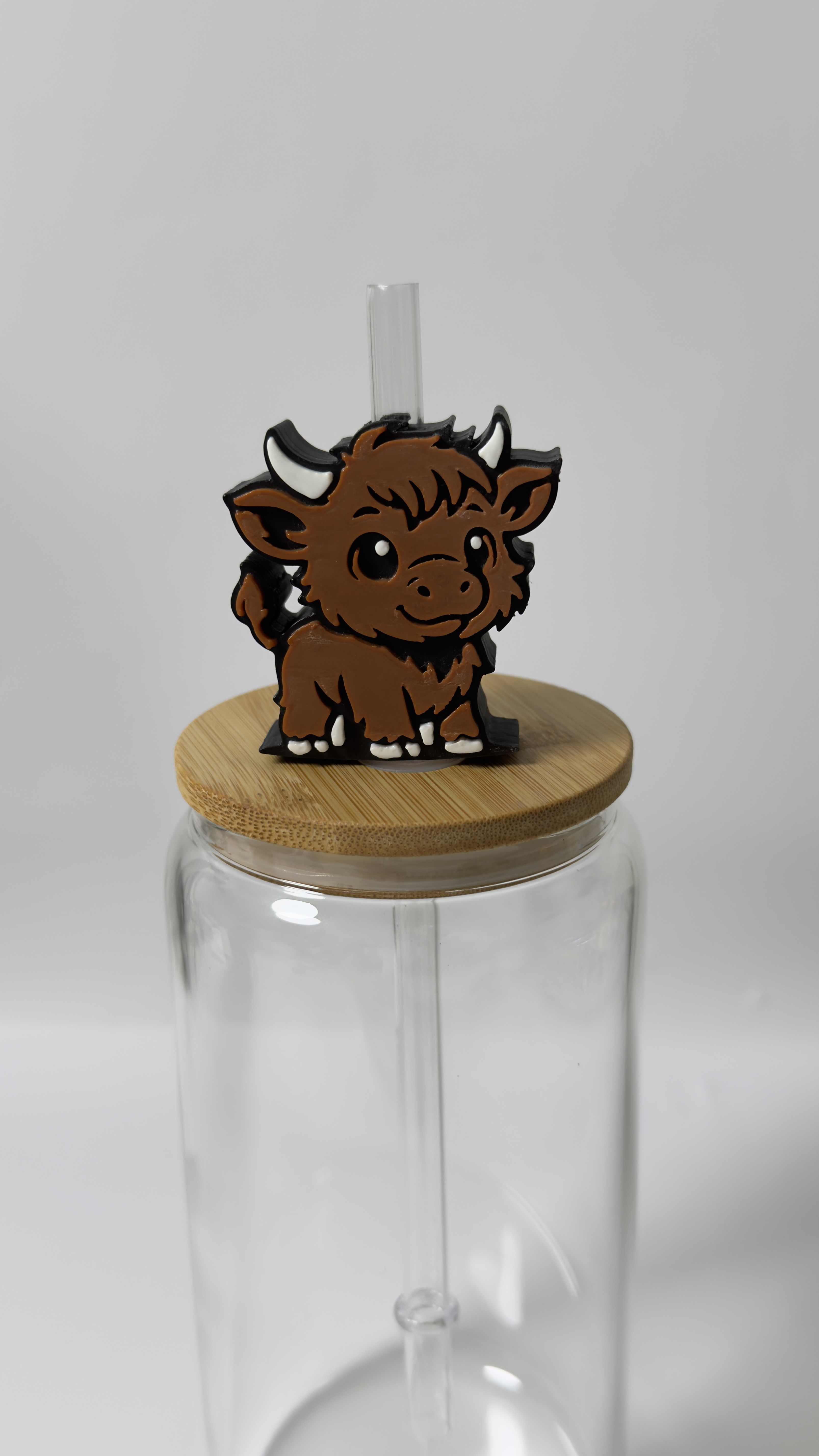 Highland Baby Cow
